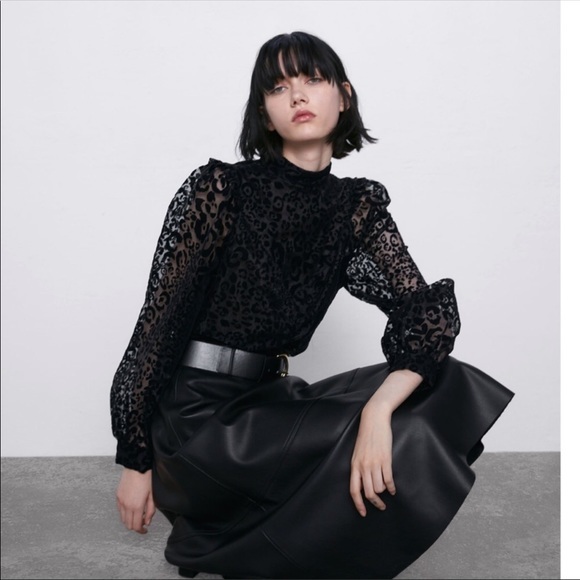 Zara NWT organza blouse - Picture 6 of 10